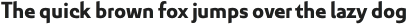 Senlot Sans Norm ExBold otf (700)