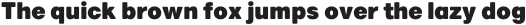 Marlin Soft Thin Italic otf (100)
