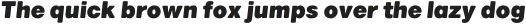 Marlin Soft SQ Extra Bold Italic otf (700)