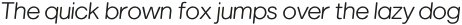 Marlin Soft SQ Black Italic otf (900)