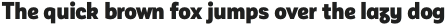 Corporative Sans Alt Black Italic otf (900)
