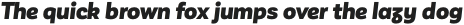 Corporative Sans Alt Cnd Light otf (300)