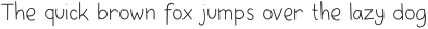 Dinomik Thin otf (100)