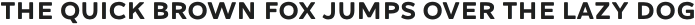Dallas PS Sans Reg otf (400)
