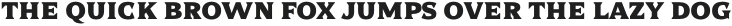 Dallas PS Serif Bld otf (400)