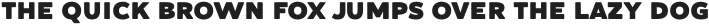 Dallas PS Sans Bld otf (400)