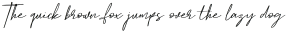 Hamilton Script otf (400)