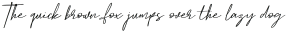 Hamilton Script ttf (400)