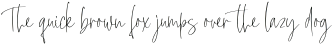 Foucher otf (400)