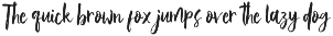 Vetto Rosella - Handwritting Font preview