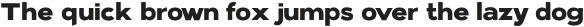Kinship Sans 800 otf (800)
