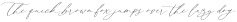 Astoria Script Alt otf (400)