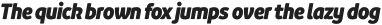 Branding SF Narrow Black It otf (900)