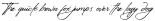 Manchester Signature Alt ttf (400)
