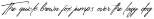Manchester Signature otf (400)