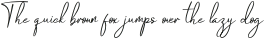 Cambridge Italic otf (400)