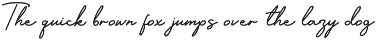 Designer Signature Font preview