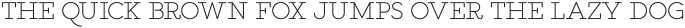 Salve Serif Bold otf (700)
