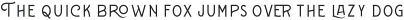 Wincosin Thin ttf (100)