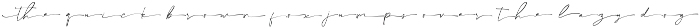 Collection - NEW STYLE font preview