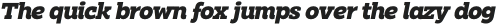 Clab Extra Bold Italic otf (700)