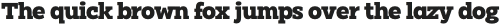 Clab Extra Bold otf (700)