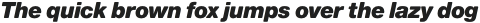Nimbus Sans Round Black Italic otf (900)