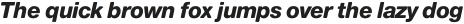 Nimbus Sans Round Heavy Italic otf (800)