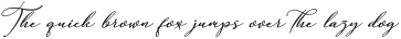 Anything Script_1 ttf (100)