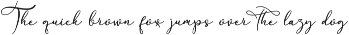 Anything Script || 8 Fonts preview