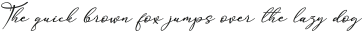 Anything Script_2 ttf (100)