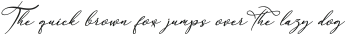 Anything Script_3 ttf (100)