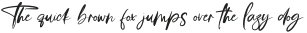 Story Fresh Brush otf (400)