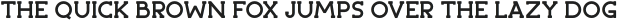 ABSTRACT Bold otf (700)
