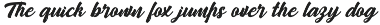 Camping Font Script preview