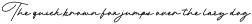 Flaura - A Modern Monoline Script preview
