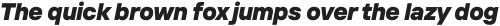 TT Interphases Black Italic otf (900)