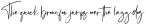 Hublland ttf (400)