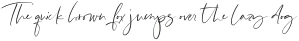Style guide Script otf (400)