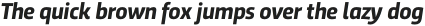 Trasandina  Bold Italic otf (700)