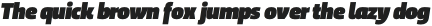 Trasandina  Ultra Italic otf (900)