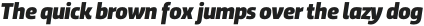 Trasandina  Black Italic otf (900)