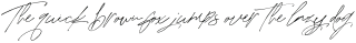 Purxious Signature otf (400)