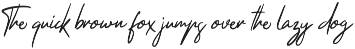 Thankfully Stylish Business Font preview
