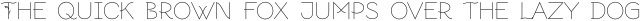 Aronia Decorative otf (400)