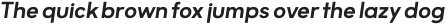 Motiraw Alt Medium Italic otf (500)