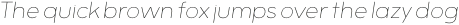 Motiraw Alt Thin Italic otf (100)