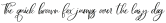 Fullbloom Script Italic otf (400)