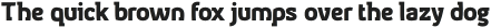 iogen serif otf (900)