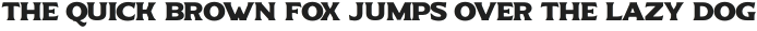 Delighter Script Serif otf (300)